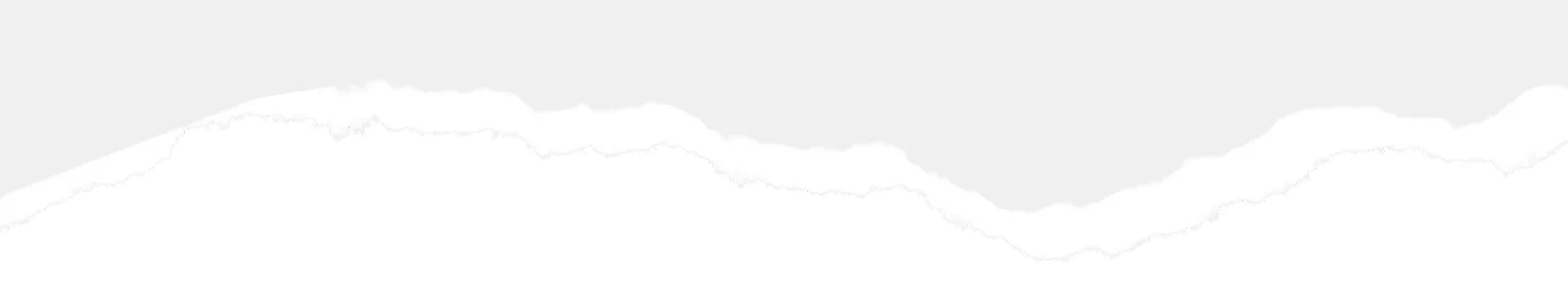 Footer Top