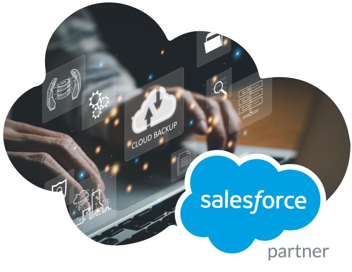 Salesforce Data Migration Services