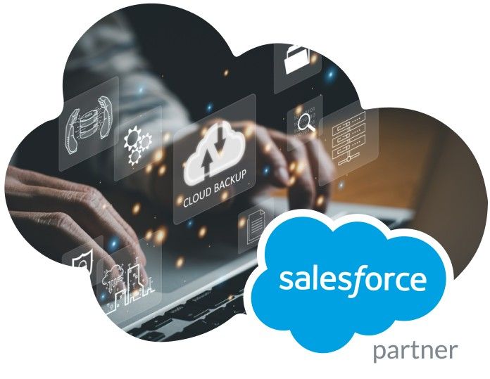 Salesforce Data Migration Services
