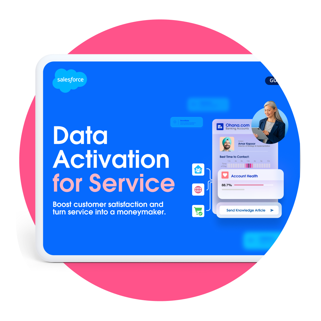 Customer Data Activation Services