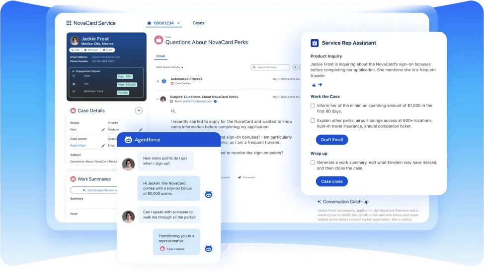 Go-Live Support Services