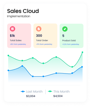 Salesforce Cloud Implementation