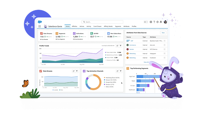 Service Cloud Migration