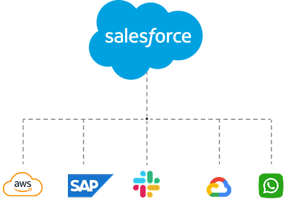 Salesforce Integration Services