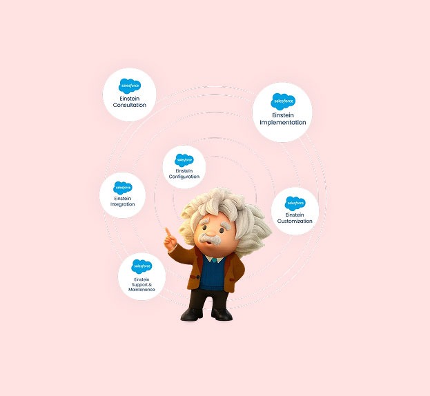 Einstein Custom Analytics
