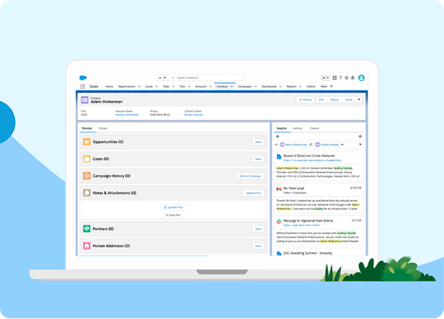 Einstein Account Insights