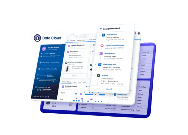 Data Standardization