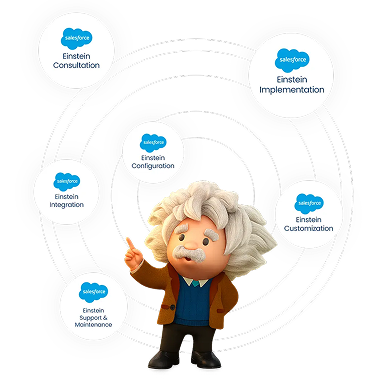 Einstein Custom Analytics