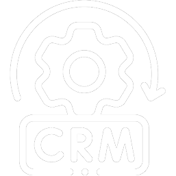 Custom CRM Strategy