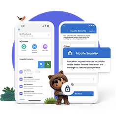 Lightning and Salesforce Mobile