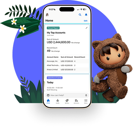 Salesforce mobile app  consulting services