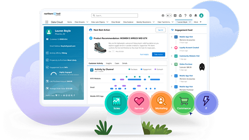 Salesforce internal apps services