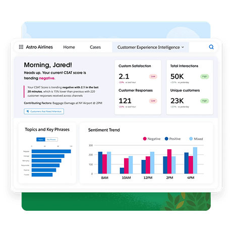 Analytics Cloud Implementation