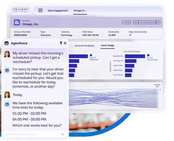 Salesforce Administration Services