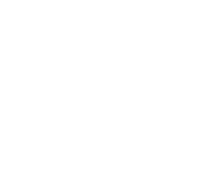 Custom Development