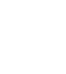 Data Migration