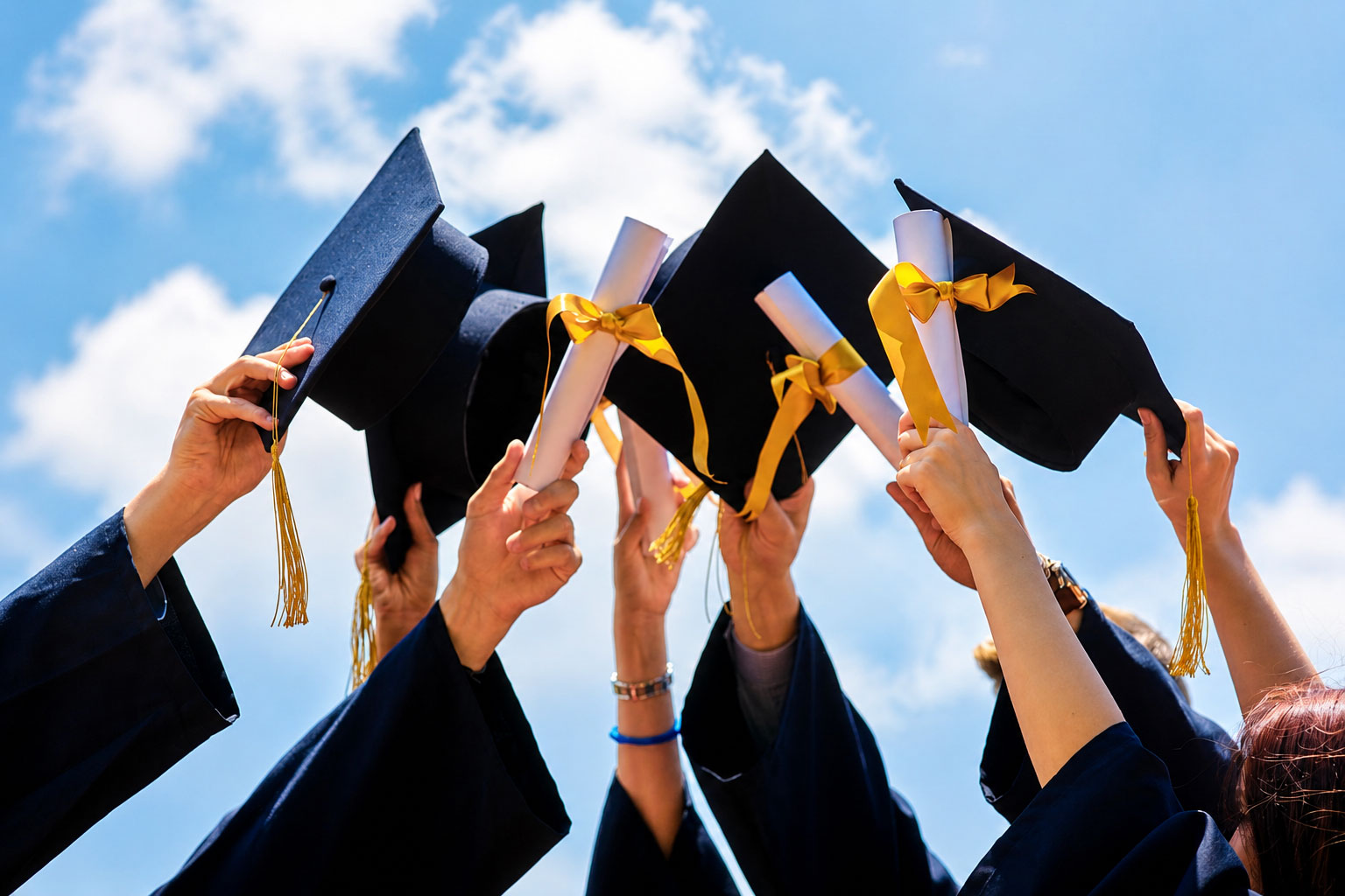 Higher Education