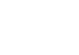 Salesforce Consulting