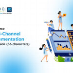 Salesforce Omni-Channel Implementation Cost: What Decision-Makers Should Budget